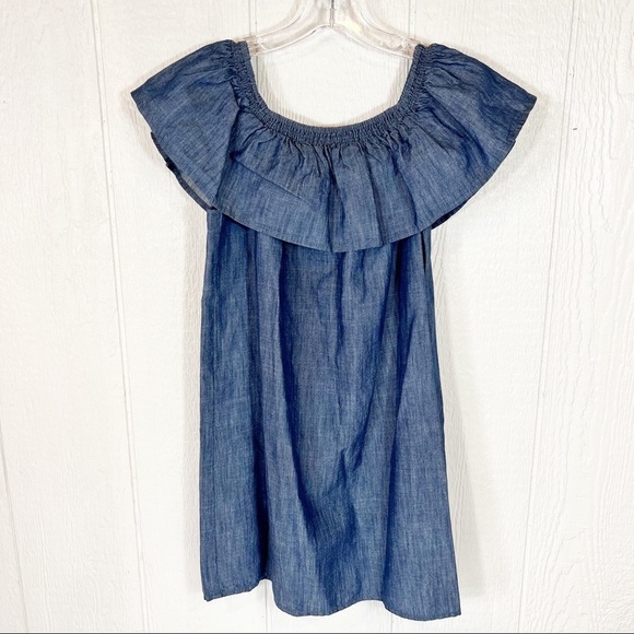 NEW Soft Joie Denim Dress Large - Picture 1 of 13
